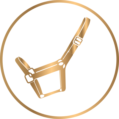 Equipment