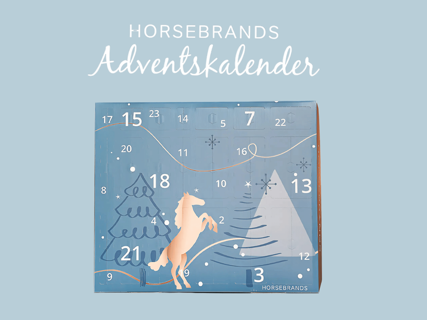 Adventskalender 2025 Teaser